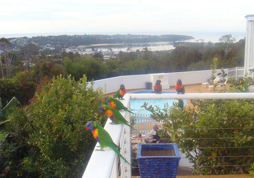 Kingfisher Motel (Adults Only) Merimbula Exterior foto